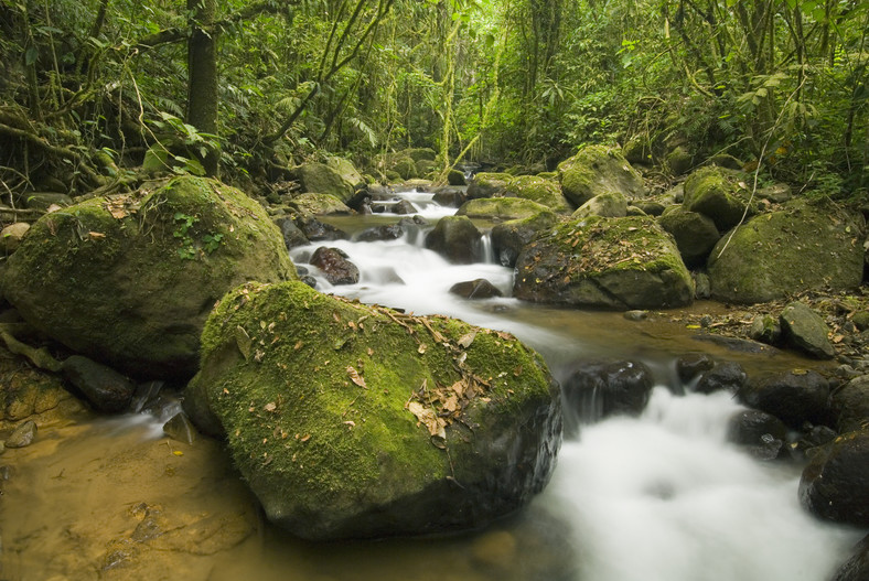Wędrówka dżunglą Darien wzbudza wiele wątpliwości natury etycznej