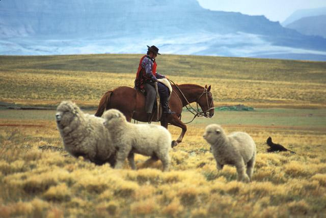 Galeria Patagonia - dzikie południe Argentyny i Chile, obrazek 12