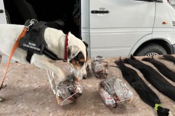 Zaskakujący przemyt z Ukrainy. Nietypowa kontrabanda warta blisko 95 tys. zł