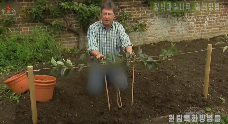 A screengrab from North Korean TV shows UK gardening show presenter Alan Titchmarsh's jeans blurred out.Central TV screenshot