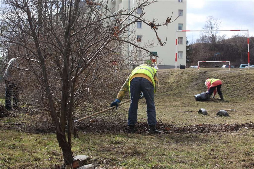 Sprzątają podwórka