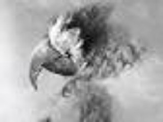 Prenty 'Lutoslavia' - recenzja