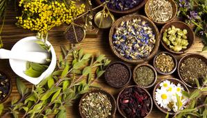 Herbal alternative remedies to many killer diseases ravaging humanity [Organic Products India]
