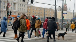 Dr Fauci: osiągnięcie odporności stadnej na SARS-CoV-2 mało prawdopodobne