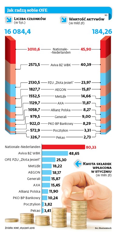 Jak radzą sobie OFE