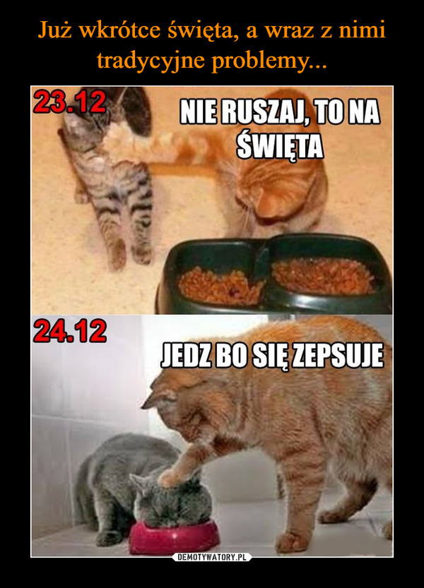 Memy na święta