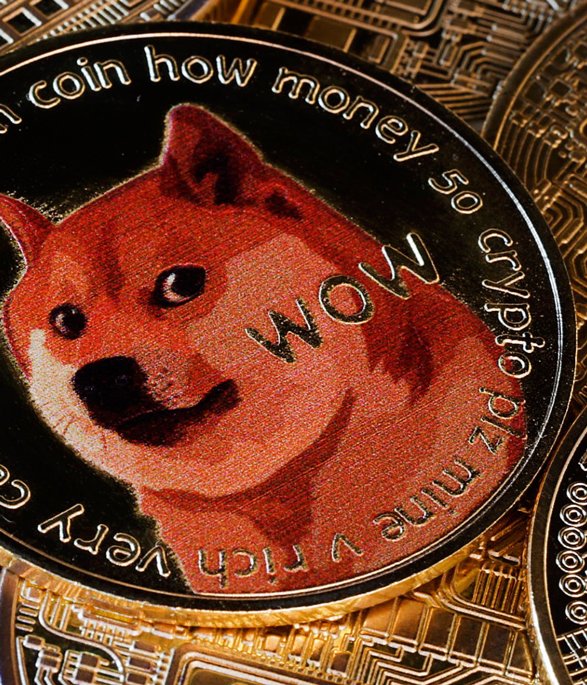 Tylko u nas: Dogecoin wypracował w tym roku 355 proc. zysku. Jest szansa na  więcej? [ANALIZA]