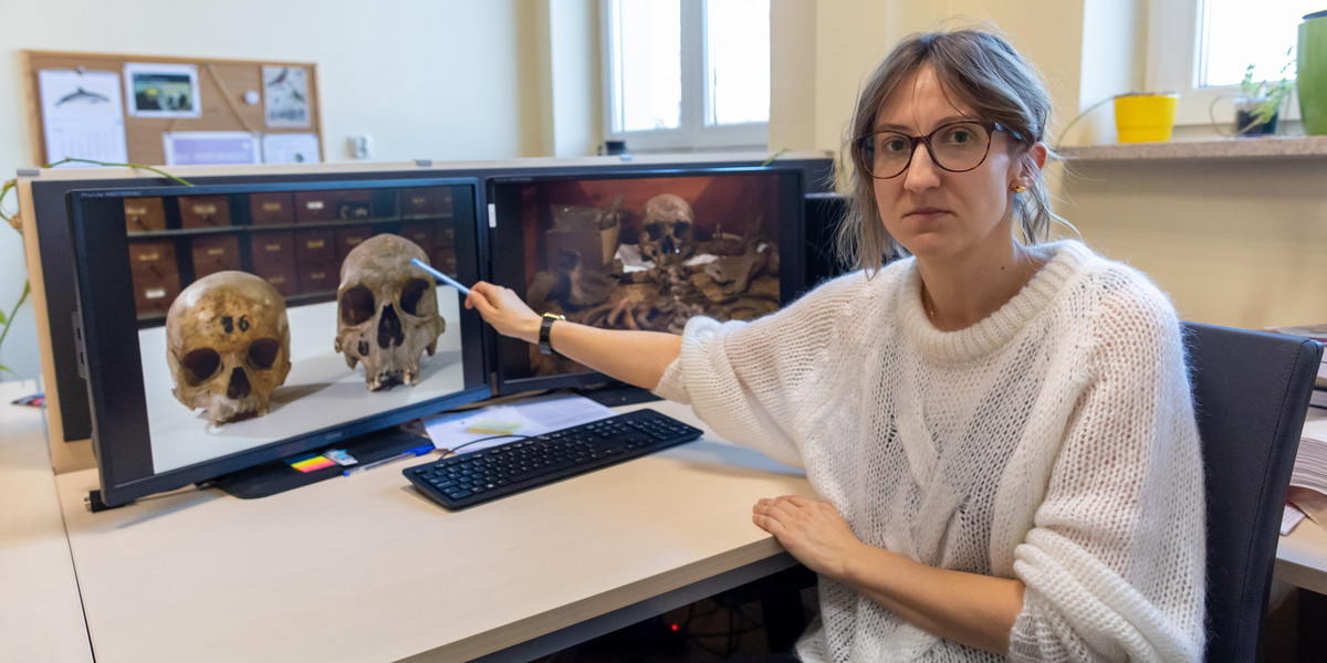 Dr Anna Maria Kubicka z Uniwersytetu Przyrodniczego w Poznaniu pokazuje na porównanie zwykłej czaszki i czaszki kobiety, która miała 215 cm wzrostu.