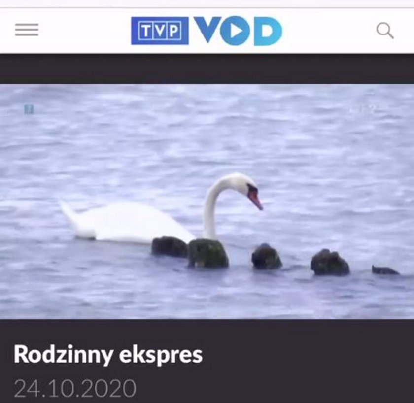 W programie TVP1 mówili o karaniu kobiet. Nawiązanie do Strajku Kobiet?