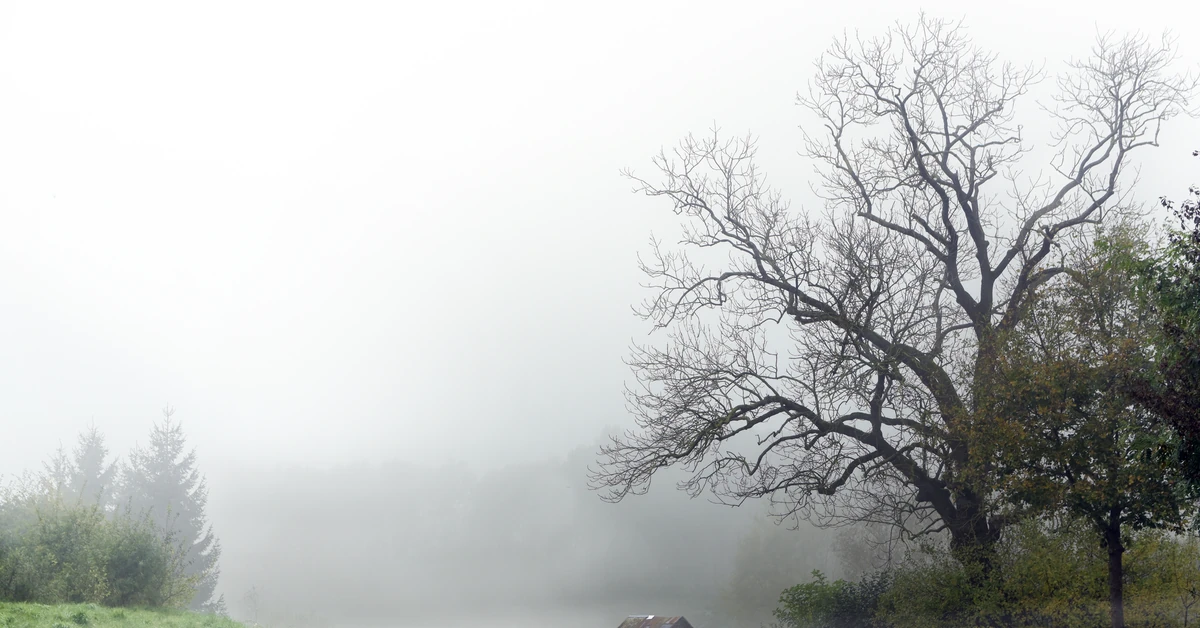 Uwaga na mgły! Prognoza pogody na środę, 8 października