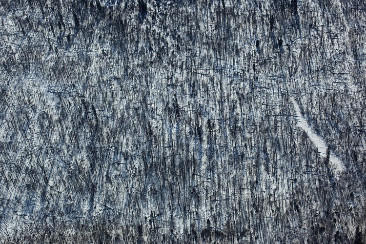 Widok z lotu ptaka na las Boreal w pobliżu Fort McMurray w Kanadzie. Gospodarka regionu Fort McMurray, uchodzącego za jedno z kanadyjskich centrów produkcji ropy naftowej, utrzymuje się nie tylko z  roponośnych piasków Athabaski, gazu ziemnego i ropociągów, ale także z przemysłu drzewnego i turystyki. Fot. Brett Gundlock, Bloomberg's Best Photos 2013.