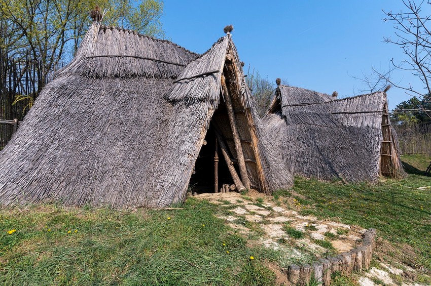 Starcevacke  foto Arhiva Muzeja Vojvodine