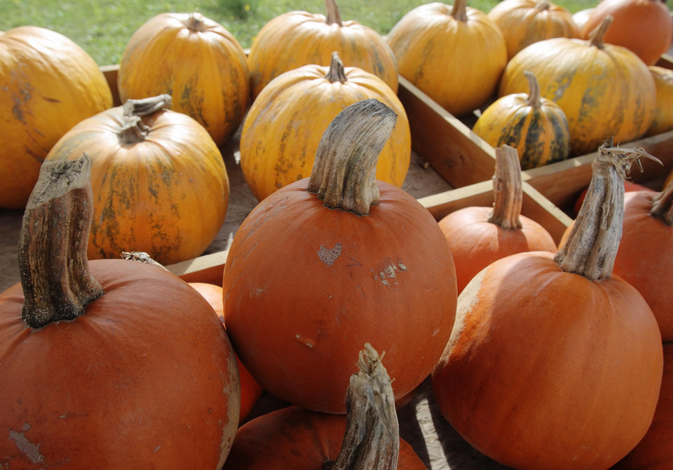 Austria szykuje się na Halloween