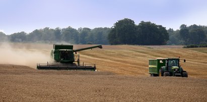 Makabryczne odkrycie na polu pszenicy. Znaleźli cztery ciała