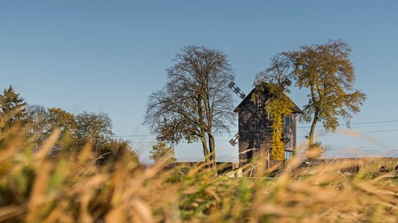 Dom w starym wiatraku na Lubelszczyźnie. Architekci zmienili ruinę w cudo!