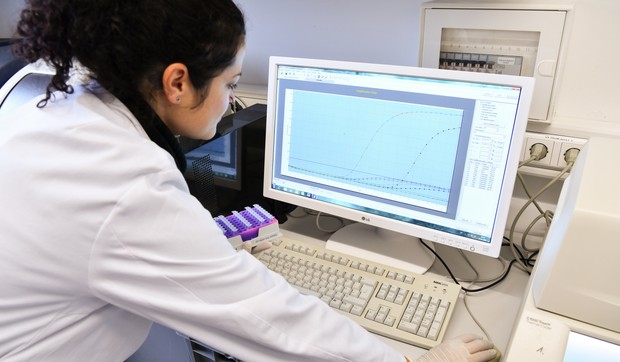 Ptičiji grip - radnik u laboratoriji gleda rezultate molekularne biologije