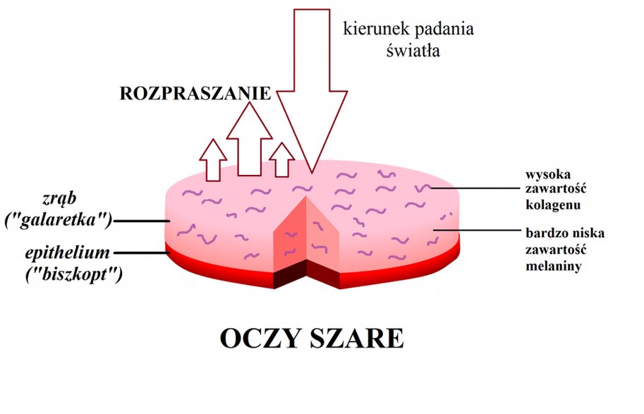 Oczy szare