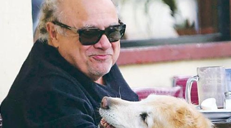 A kutyát is érdekli Danny DeVito