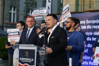 Konfederacja ręka w rękę z niemiecką AfD? „Negocjacje lubią ciszę”