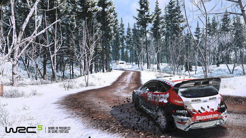 WRC 5