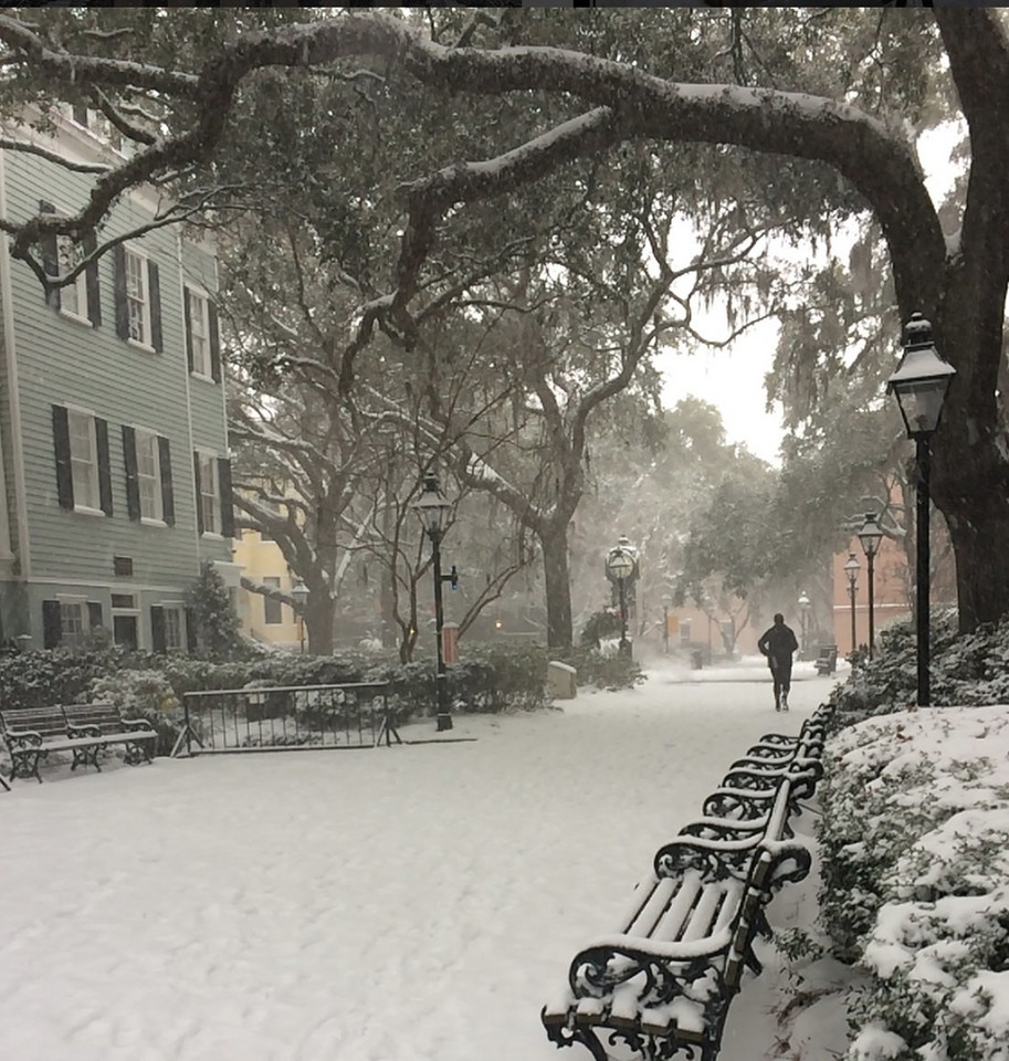 epa06416783 - USA WEATHER SNOWFALL (Southern snowfall in Charleston, South Carolina, USA)