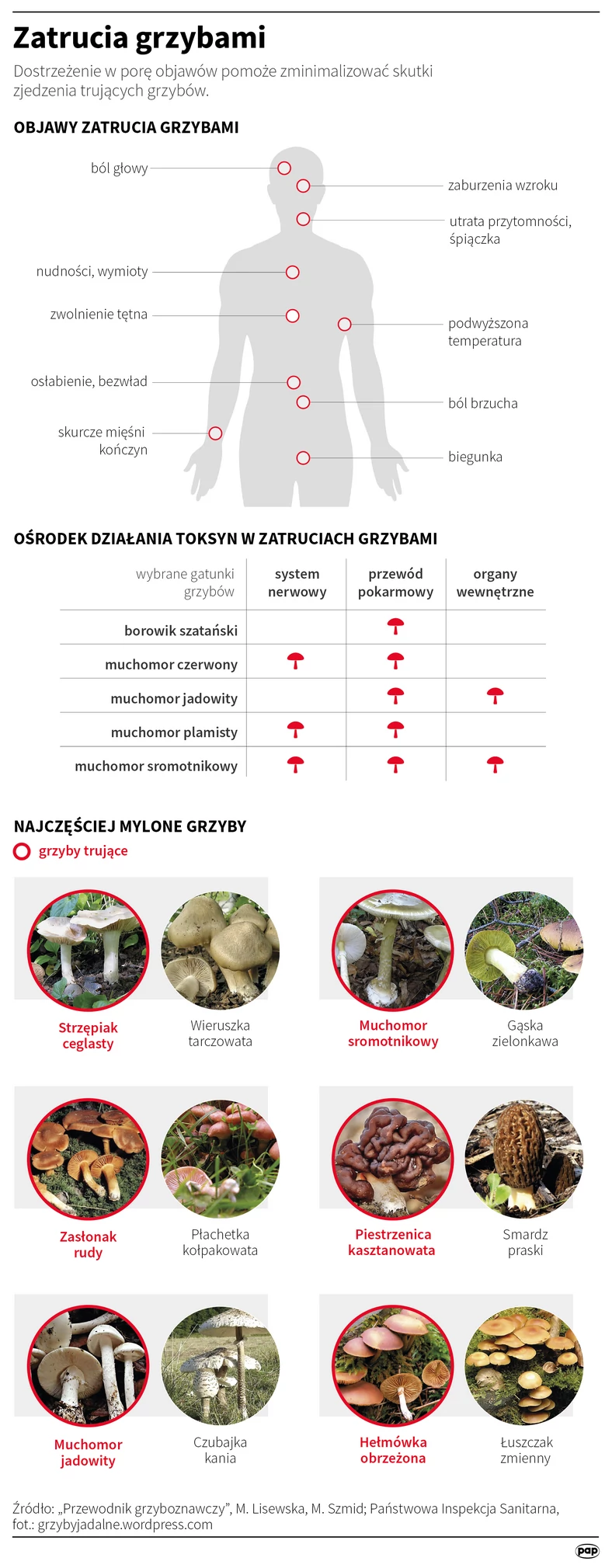 Zatrucia grzybami - infografika