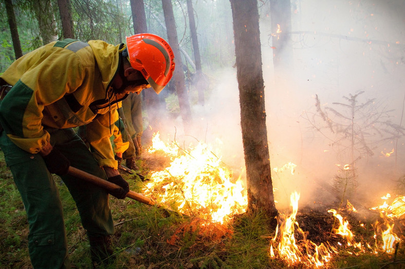 Strażak walczący z ogniem w rejonie Krasnojarska