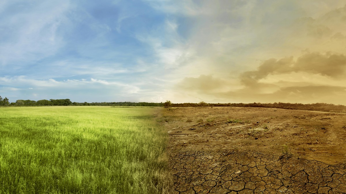 Landscape of meadow field with the changing environment