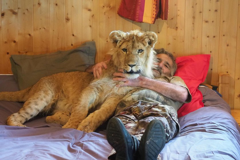 Nubia nie jest jedyna. Oni też trzymają w domu dzikie zwierzęta