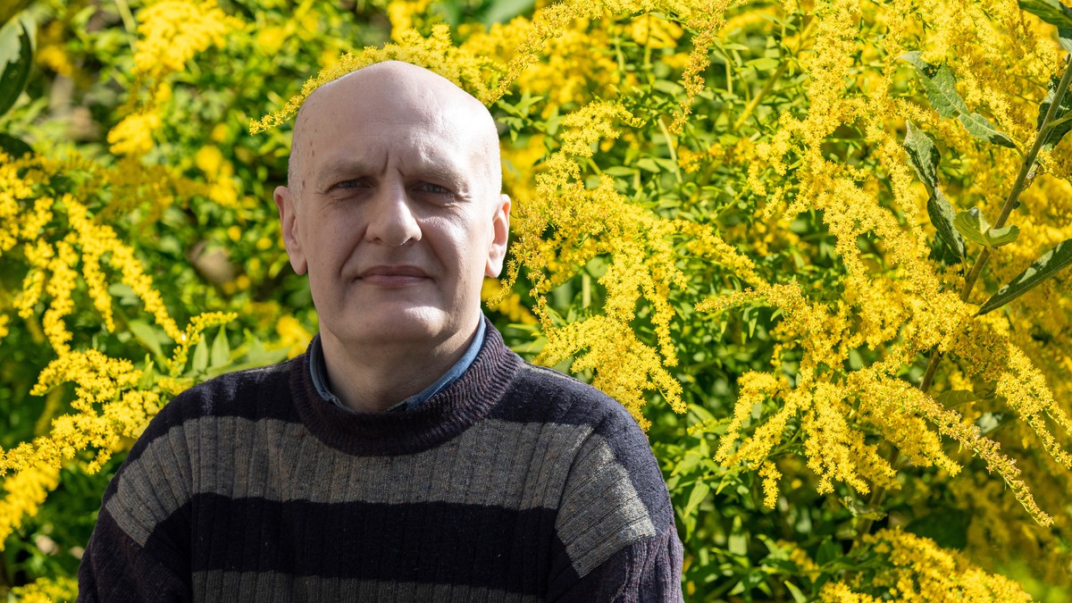 Ambrozija je najpoznatija i najopasnija alergena biljka na svetu, ali ima i lekovita svojstva