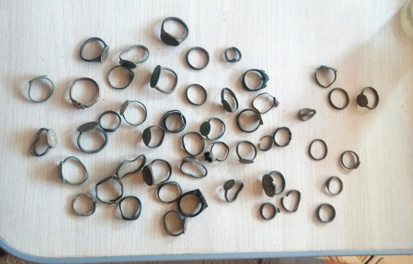 Zaplenjeno prstenje u Sremskoj Mitrovici