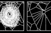 Sieć pająków utkana pod wpływem wodzianu chloralu (po lewej stronie normalna pajęczyna)