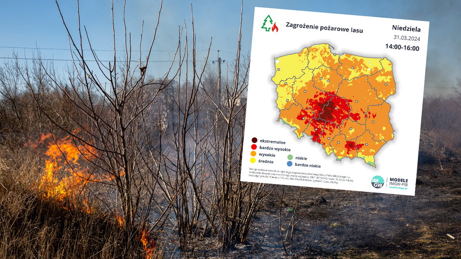 Wyraźnie wzrosło zagrożenie pożarowe w polskich lasach (screen: IMGW)