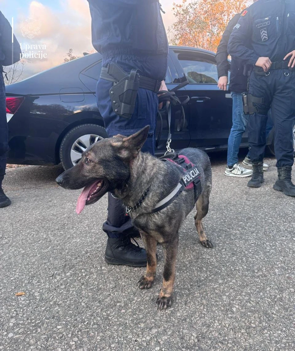 Uhapšen Lazar Vulević