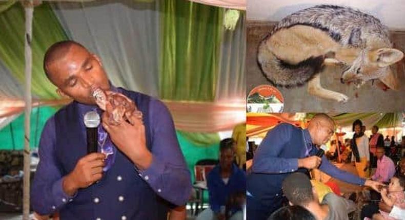 Pastor kills dog and eats the raw meat during church service