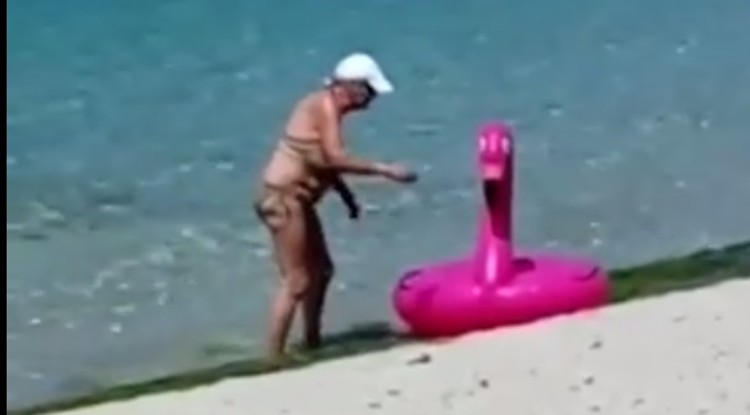 Go go flamingo