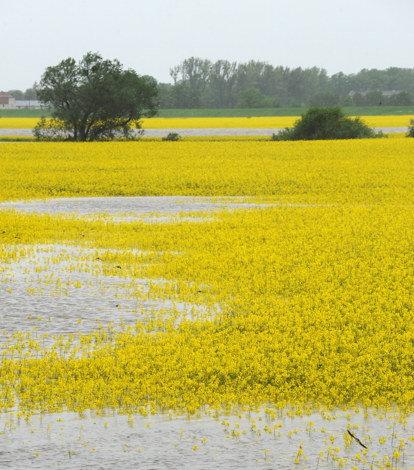 BRZEG SYTUACJA POWODZIOWA