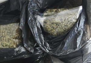 Otkrivena laboratorija marihuane u Smederevu