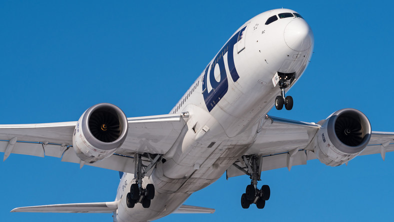 Polskie Linie Lotnicze LOT wygrały przetarg dla operatorów lotniczych na obsługę połączeń z Wilna do Londynu City – poinformował dziś minister transportu Rokas Masiulis. Przetarg został rozstrzygnięty wczoraj.
