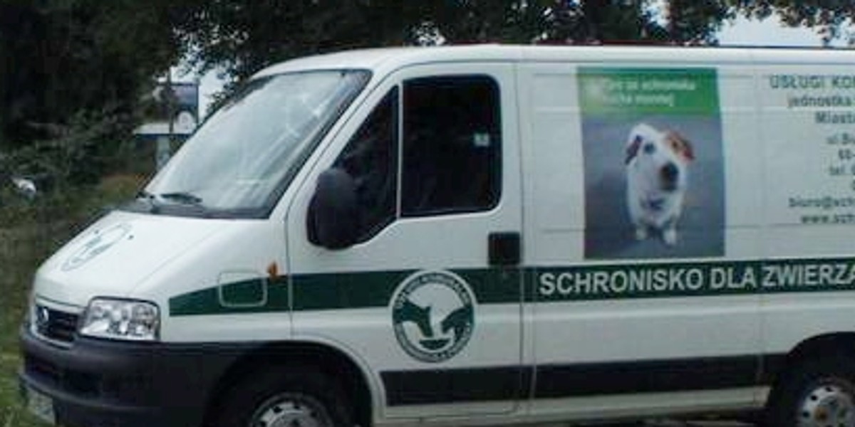 schronisko