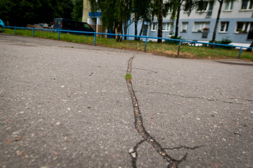 Remonty chodników