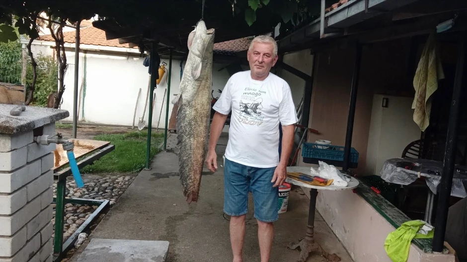 Dragan upecao soma kapitalca