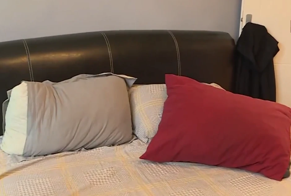 Meta, jastuk dr Dragana Milića