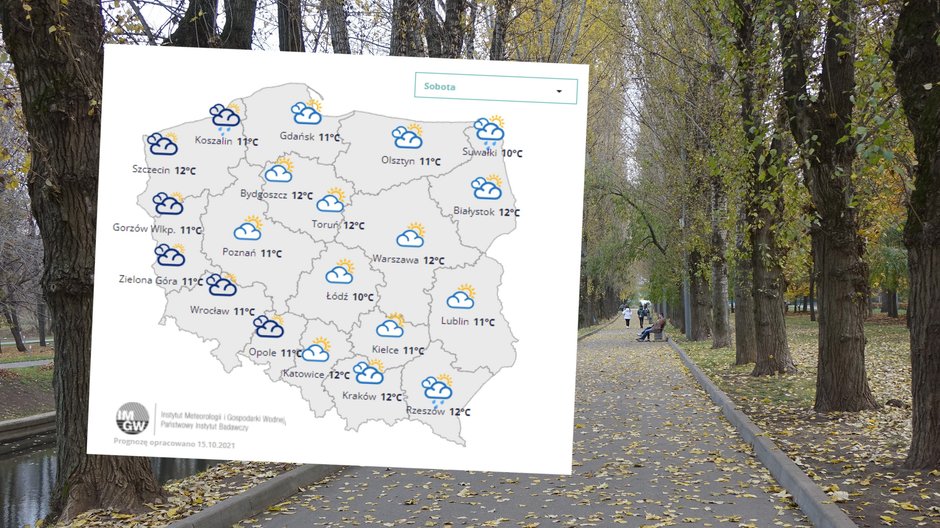 W sobotę w Polsce temperatura wyniesie od 10 do 12 stopni Celsjusza