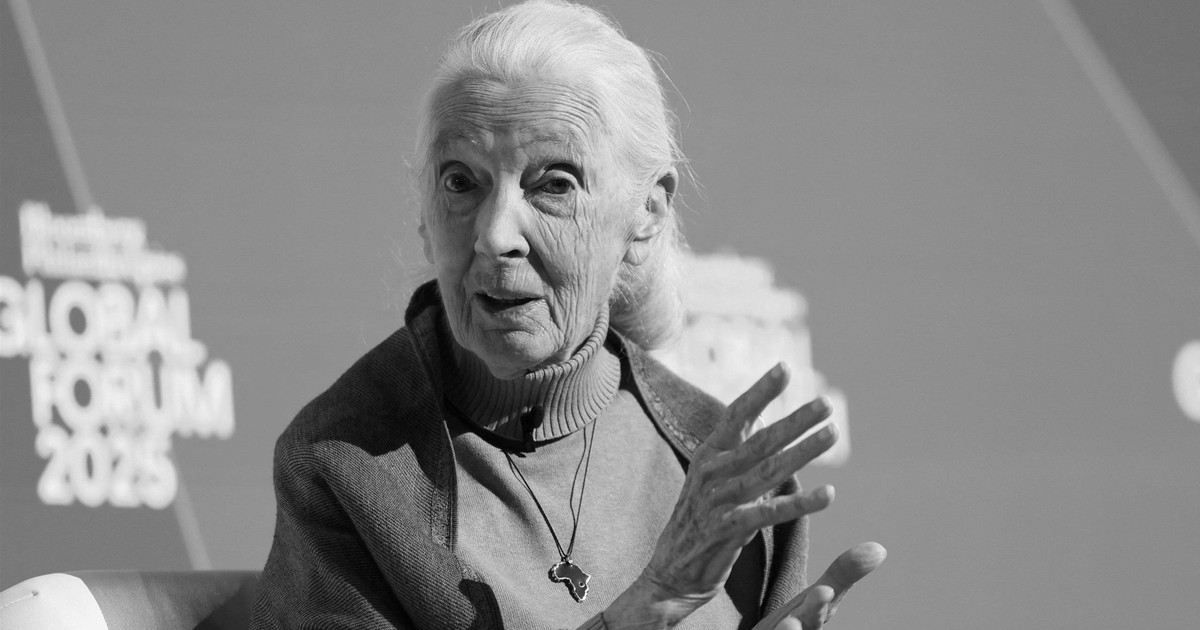 Pożegnanie legendy. Jane Goodall nie żyje