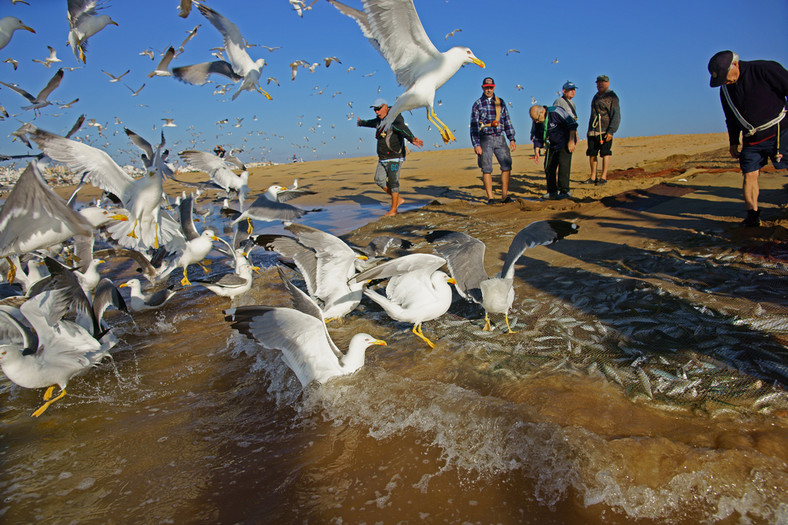 Łowimy! Algarve