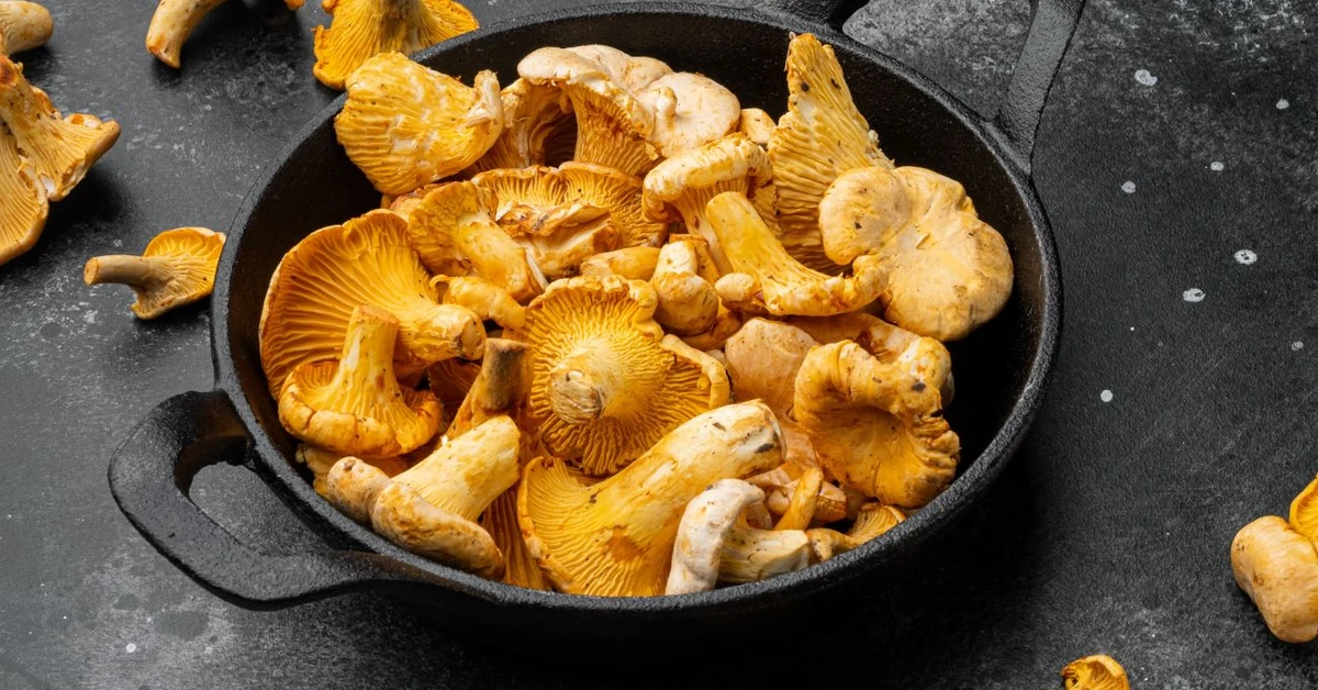 Koniec piasku w sosie kurkowym! Oto skuteczne sposoby na szybkie oczyszczanie kurek z piasku i innych zanieczyszczeń