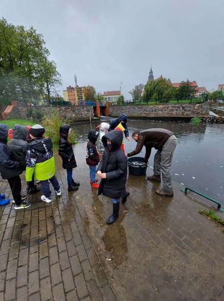 Zarybianie rzeki Regi narybkiem jesiennym. Foto: Starostwo Gryfice