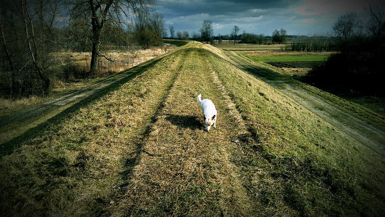 HTC One - zdjęcia z aparatu