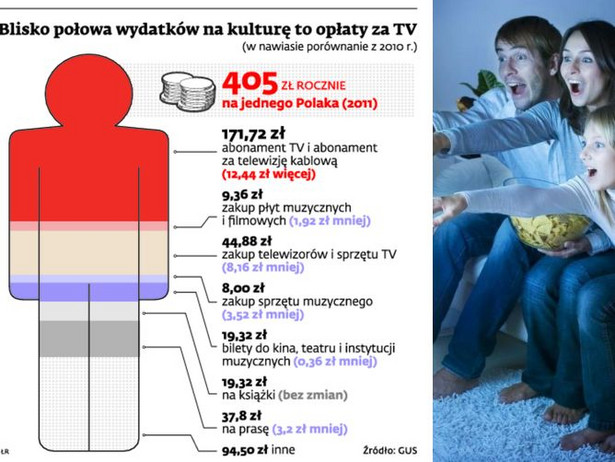 Blisko połowa wydatków na kulturę to opłaty za TV